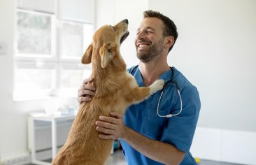 Sinais de que seu pet precisa de atendimento veterinário