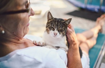 Vantagens da coleta domiciliar para pets idosos